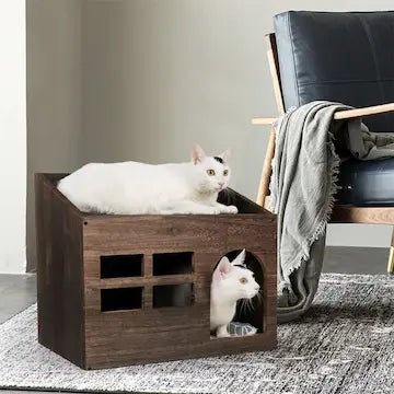 Chat utilisant sa maison en bois - poste d'observation confortable 