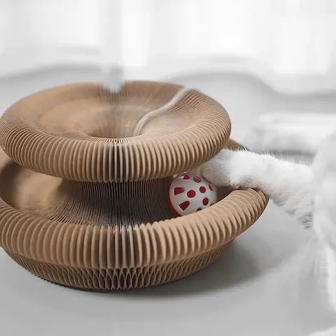 Chat jouant avec la balle et griffant le carton nid d'abeille.
