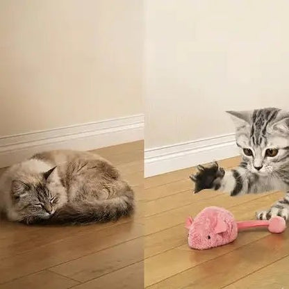 Comparatif chat qui s'ennuie vs chat actif jouant avec une souris mécanique sonore au sol