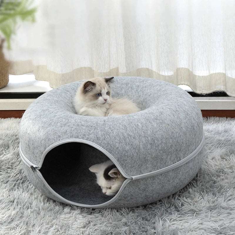 Deux chats sur un coussin en forme de donut, avec un air espiègle.