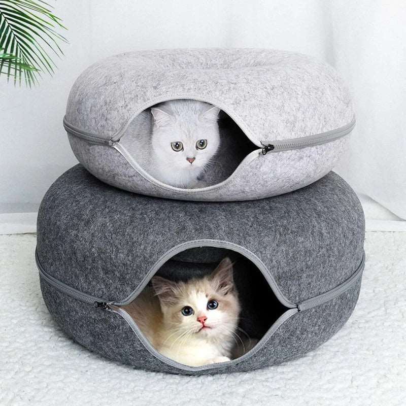 Deux chats regardant par la fenêtre depuis deux coussins en forme de donut, avec un air curieux.