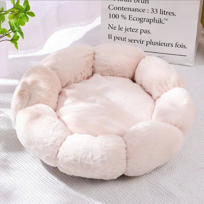 coussin pour chat : Félinitude™ - Pattes d'or