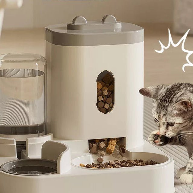 Distributeur nourriture et eau pour chat, modèle gris, élégant et compact