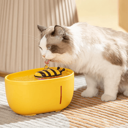 Distributeur eau chat fontaine automatique abeille - chat buvant
