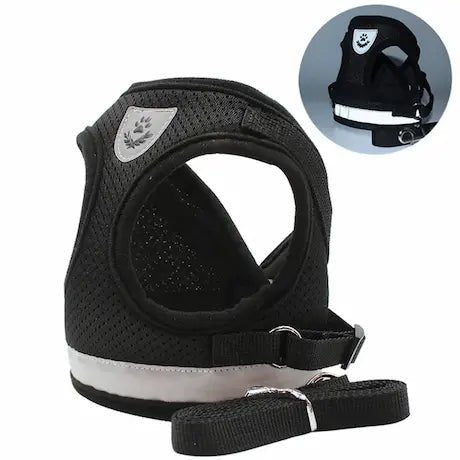 Ensemble harnais et laisse pour chat, de couleur noir, en maille respirante.