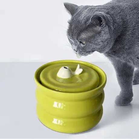 Fontaine chat céramique baleine silencieuse avec chat qui boit eau fraîche
