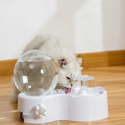 Fontaine à eau design pour chat avec sphère élégante