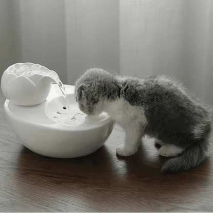 Fontaine à Eau Chat Céramique Lotus: Design Élégant et Hydratation