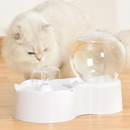 Fontaine chat avec filtre : eau toujours pure et fraîche