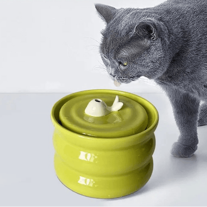 Fontaine à eau chat céramique, chat s'hydrate, design baleine