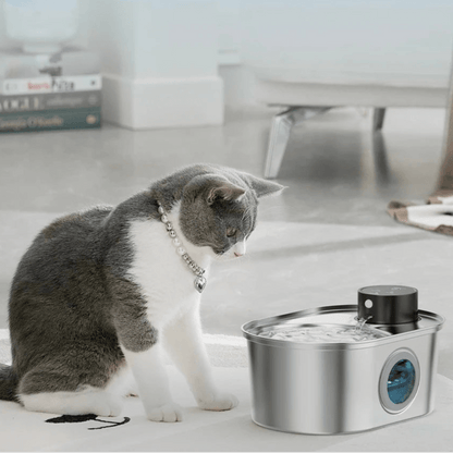 Fontaine à eau intelligente sans fil pour chats, avec détecteur de mouvement et filtration avancée.