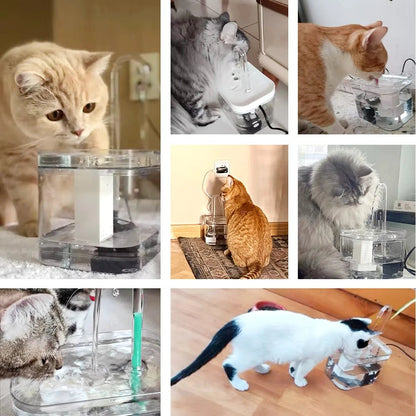 Fontaine à eau 1.5L pour chat, design ergonomique et hygiénique