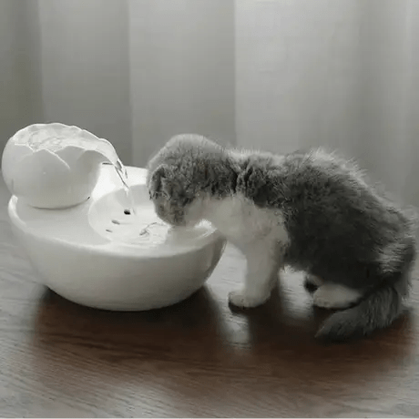 Fontaine lotus silencieuse pour intérieur