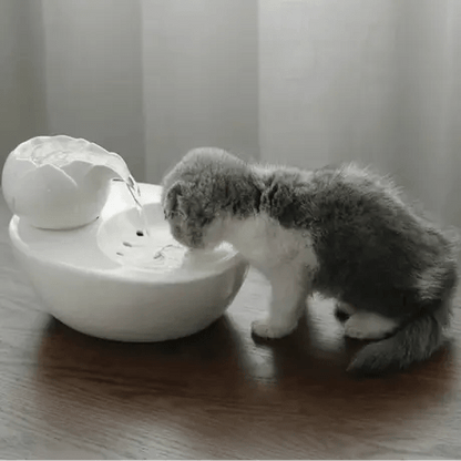 Fontaine lotus silencieuse pour intérieur