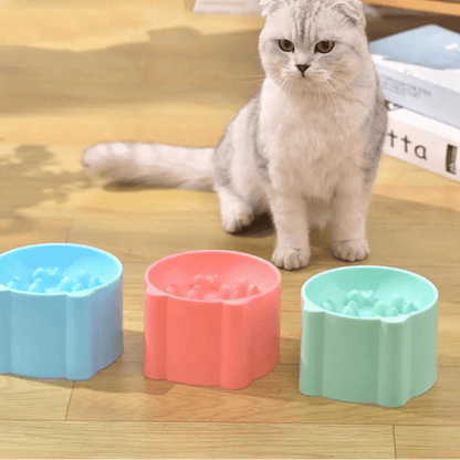 Gamelle anti glouton ergonomique surélevée pour chats sensibles
