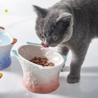 Gamelle pour chat en céramique surélevée, couleurs rose et bleue, design ergonomique pour une meilleure digestion et confort.