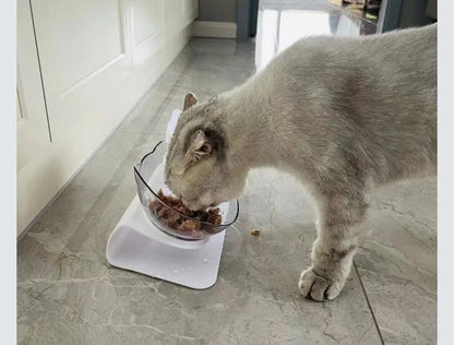 Gamelle antidérapante pour chat, double bol avec inclinaison de 15° pour un repas plus sain.