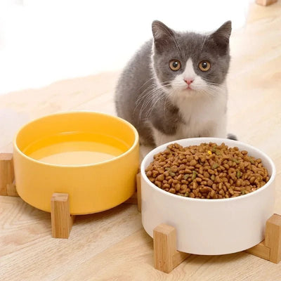Gamelle surélevée en céramique et bois favorisant une meilleure digestion pour chat