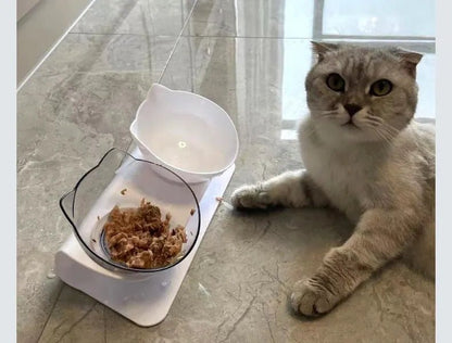 Gamelle chat ergonomique inclinée à 15°, prévenant les vomissements et améliorant la digestion.