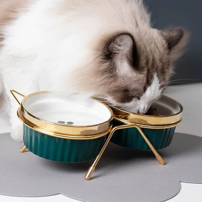 Gamelle inclinée double pour chat avec support antidérapant, design ergonomique et matériau plastique durable.