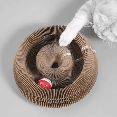 Griffoir accordéon magnétique déplié avec sa balle sur piste.