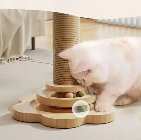 Griffoir chat bois massif avec toupie interactive - protection meubles et jeu stimulant