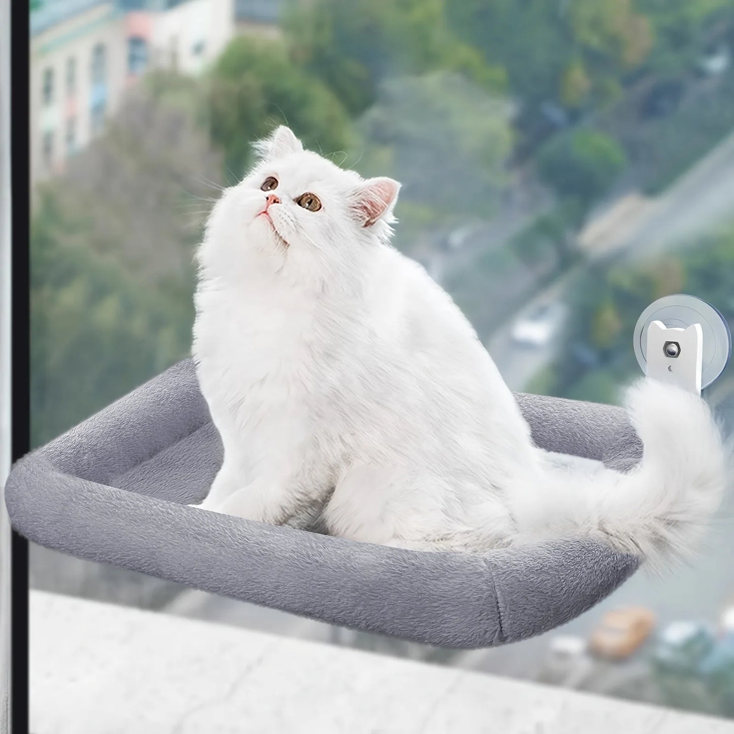 Chat profitant de la vue depuis un hamac gris pour fenêtre, taille M.