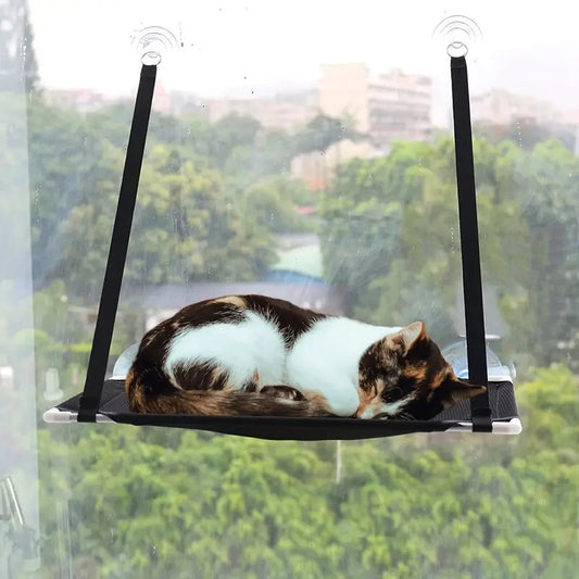 Solution parfaite pour offrir à votre chat un espace de détente et de stimulation.
