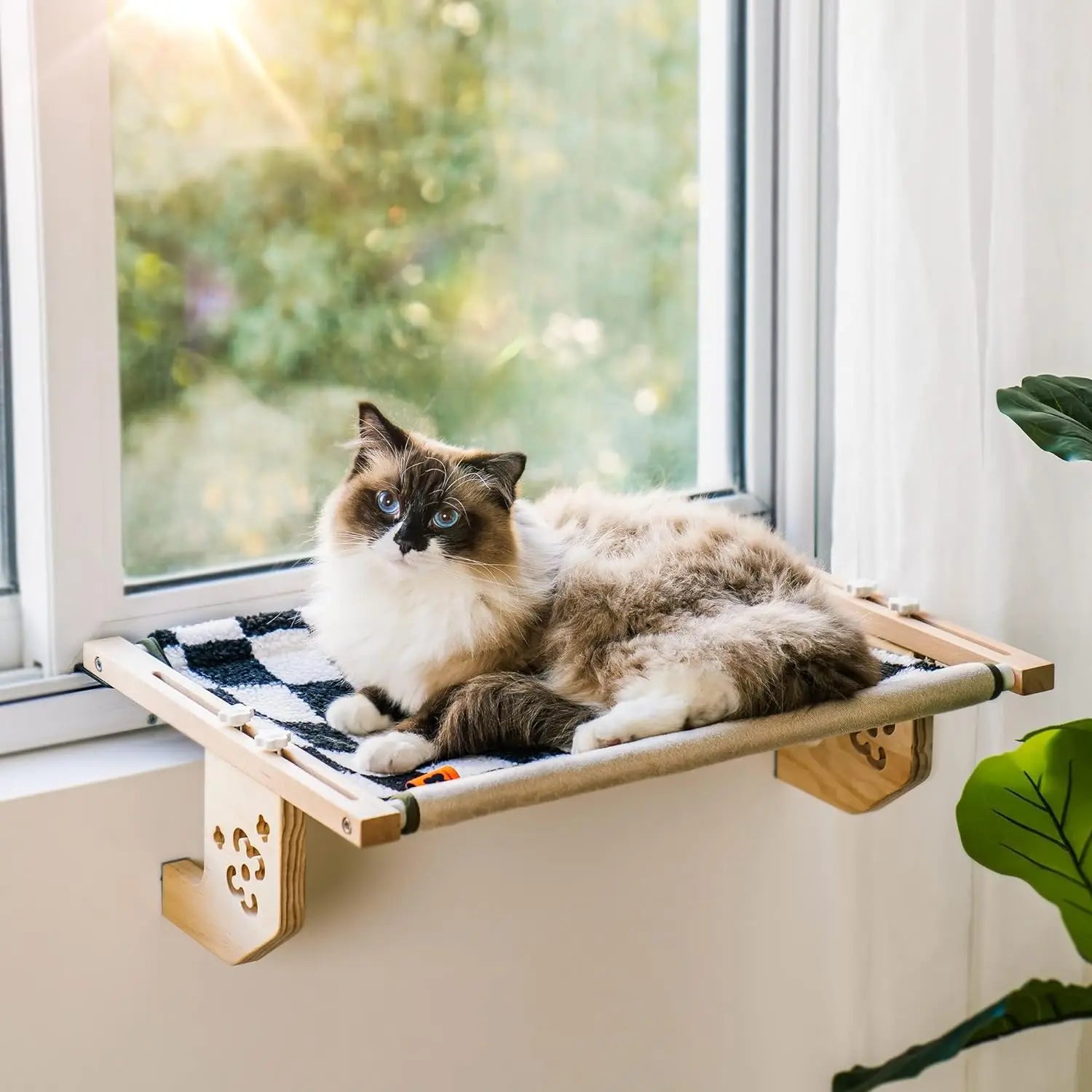 Un chat détendu dans son hamac Zen'Cats.