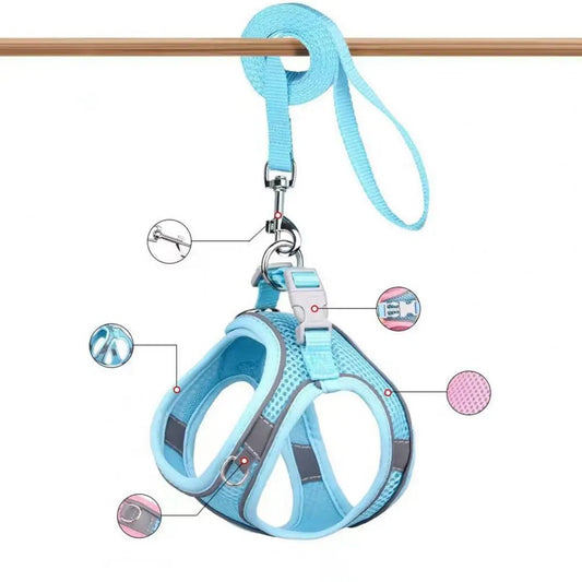 Vue détaillée du harnais anti-évasion bleu turquoise, suspendu, avec des annotations montrant la maille respirante, les bandes réfléchissantes, la boucle de sécurité, l'attache laisse, et les coutures renforcées. Parfait pour comprendre tous ses avantages techniques
