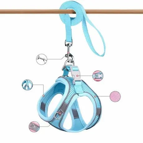 Vue détaillée du harnais anti-évasion bleu turquoise, suspendu, avec des annotations montrant la maille respirante, les bandes réfléchissantes, la boucle de sécurité, l'attache laisse, et les coutures renforcées. Parfait pour comprendre tous ses avantages techniques