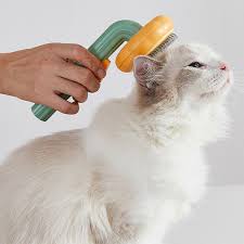 Brosse Citrouille Auto-Nettoyante pour Chat