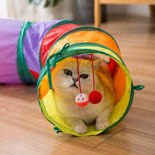 Tunnel de Jeu pour Chats