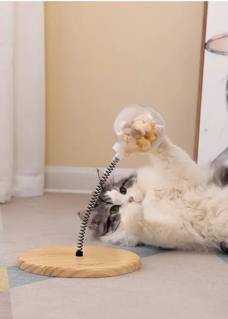 ouet d'intelligence pour chat - puzzle alimentaire en bois massif