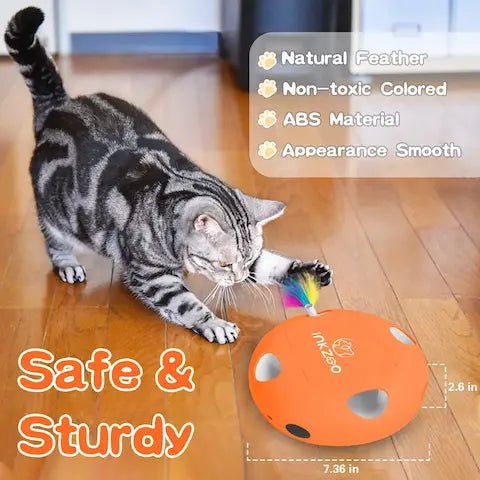 Jouet Interactif Chat | Anti - Ennui & Stimulation - Pattes d'Or