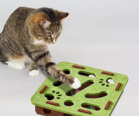 Jouet puzzle en feutre pour chat, labyrinthe avec tunnels et balles, forme carrée grise