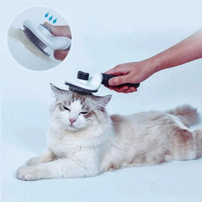 Kit de toilettage pour chat comprenant une brosse autonettoyante
