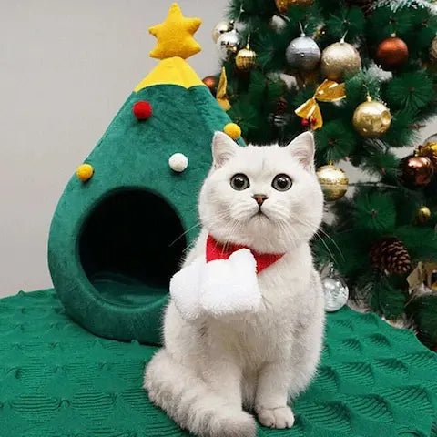 Chat blanc avec écharpe rouge dans un lit arbre de Noël vert