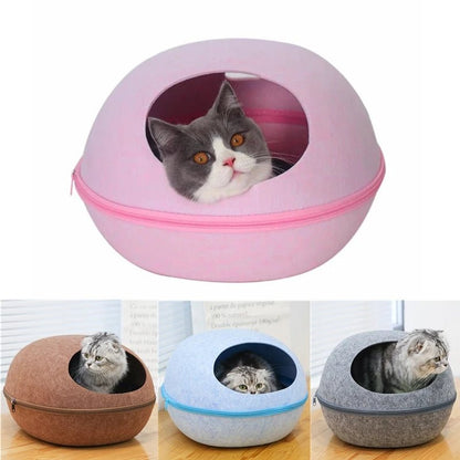 Lit pour chat en forme de cocon offrant sécurité et confort, chat regardant la caméra.