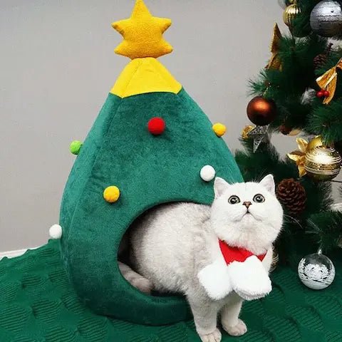 Chat blanc avec écharpe dans un lit sapin de Noël douillet