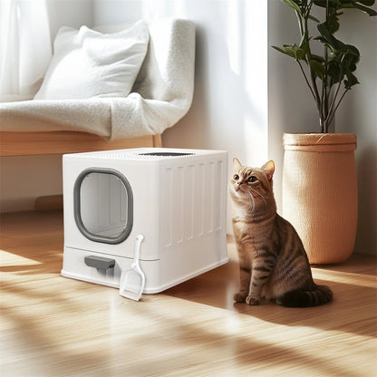 Maison de toilette pour chat design avec chaton curieux