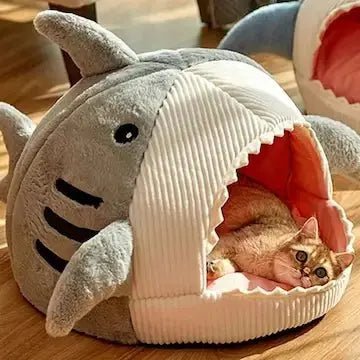 Intérieur moelleux de la maison requin chat - cocon sécurisant