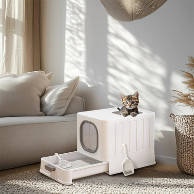 Maison de toilette design pour chat dans une salle de bain, utilisée par un chaton
