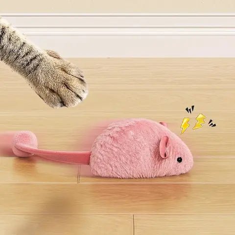 Gros plan sur le mécanisme à ressort manuel et la clé de remontage de la souris pour chat