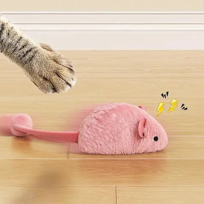 Gros plan sur le mécanisme à ressort manuel et la clé de remontage de la souris pour chat