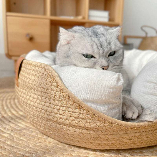 Un chat enroulé dans un panier en bambou tissé à la main, profitant du calme.