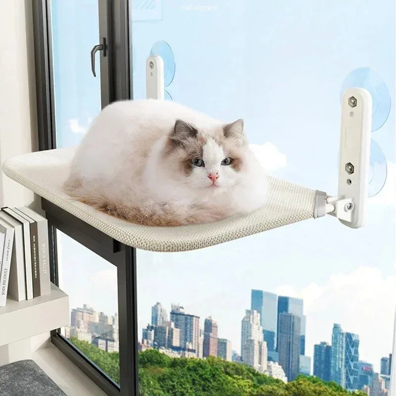 Chat fier se détendant dans un hamac pour fenêtre, profitant d'une vue panoramique.