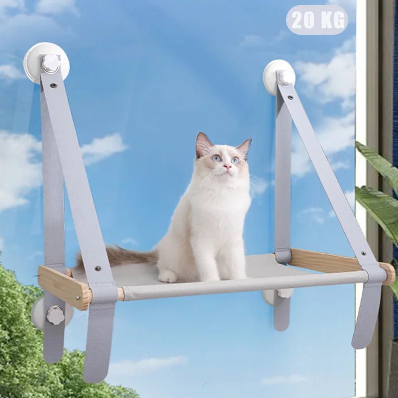 Chat se détendant sur un perchoir de fenêtre en bois, profitant de la vue extérieure.