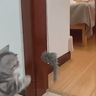Animation de Jouet suspendu pour chat avec souris en peluche et plumes
