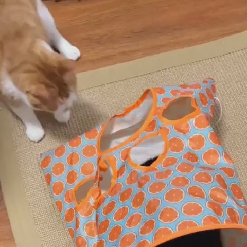 Vidéo de démonstration Tunnel de jeu interactif orange pour chat